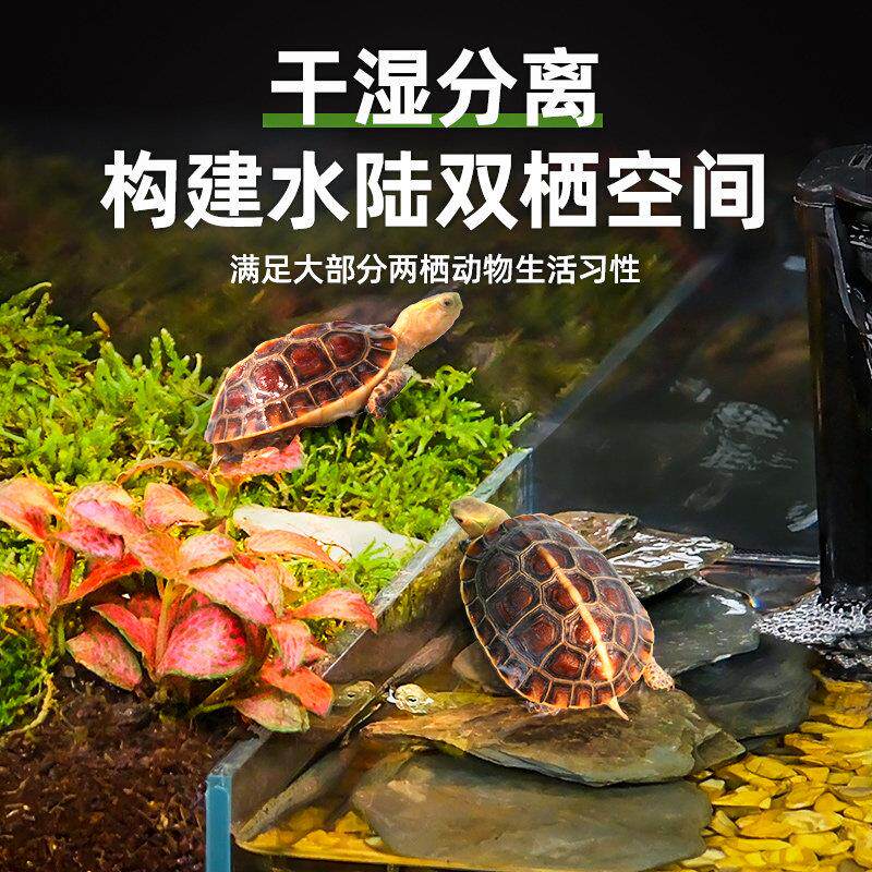 龟饲防养缸超白玻璃生态水陆两乌栖鱼底H缸缸排造景巴西草龟带逃