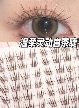 白茶森系免胶黑棕分段式假睫毛