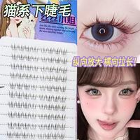 清透毛流!猫系大小姐下睫毛淡颜妈生自然感透明梗免胶新手假睫毛