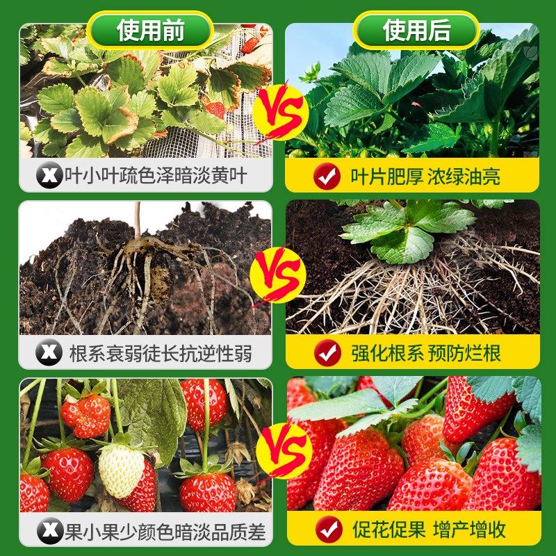 草莓专用肥营养液植物水培蔬菜水果绿植通用家用农家阳台盆栽肥料