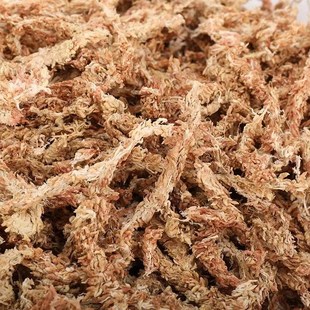 黄缘龟冬眠箱过冬垫材乌龟冬眠用品饲养箱智利水苔小龟冬眠盒套装