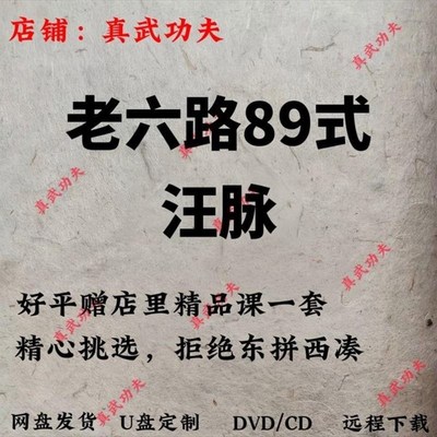 汪脉太极老六路视频课程内功心法讲座松散通理法拆架子