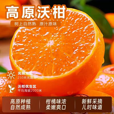 【下单立减30】正宗沃柑当季新鲜水果皮薄多汁香甜柑橘采摘
