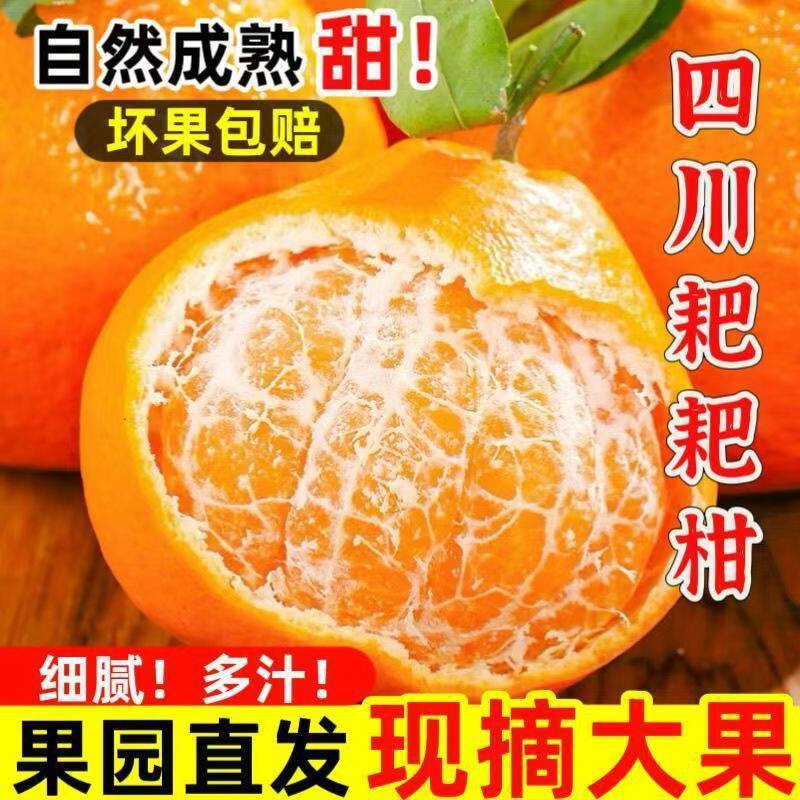 【下单立减30】正宗四川春见耙耙柑新鲜水果现摘粑粑柑橘桔子