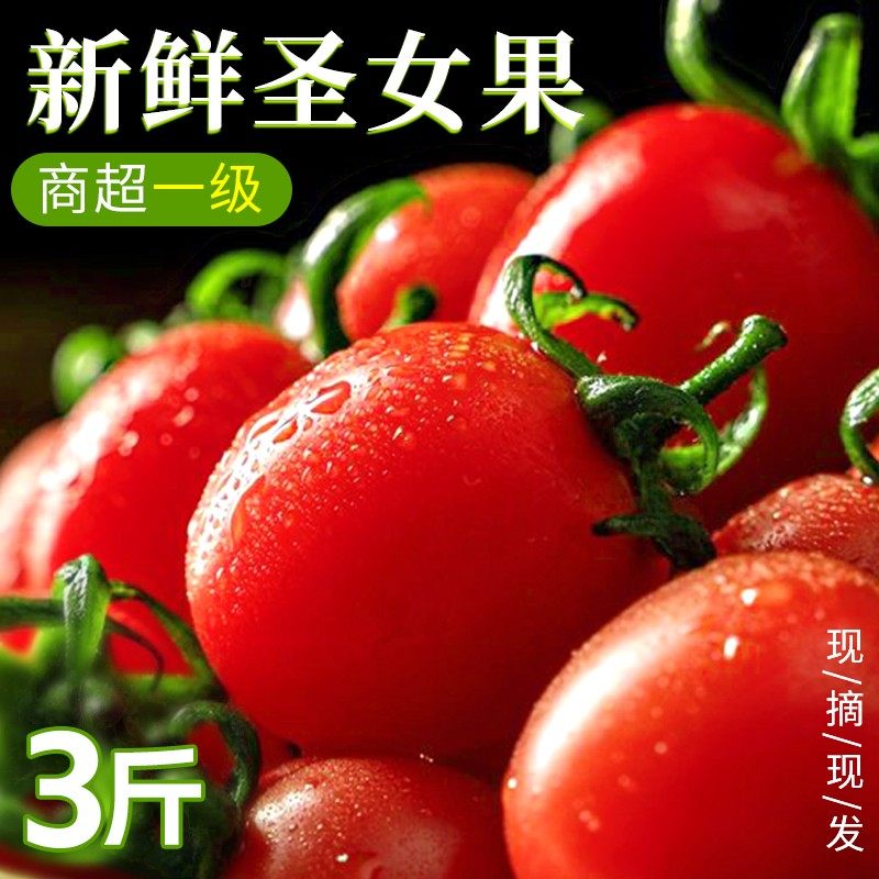 【下单立减30】新鲜圣女果千禧小番茄自然熟新鲜现摘水果当季整箱,水产肉类/新鲜蔬果/熟食,番茄,淘宝优惠券,粉丝福利购,淘宝优惠卷