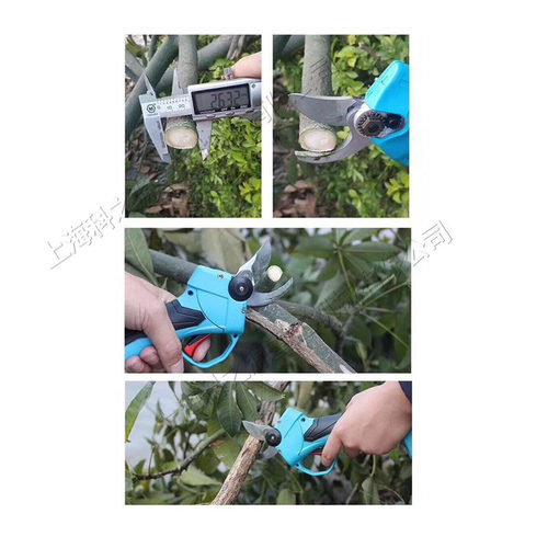 无线便携式电动剪刀果园苹果葡萄树剪枝机小型手持式园艺修枝机