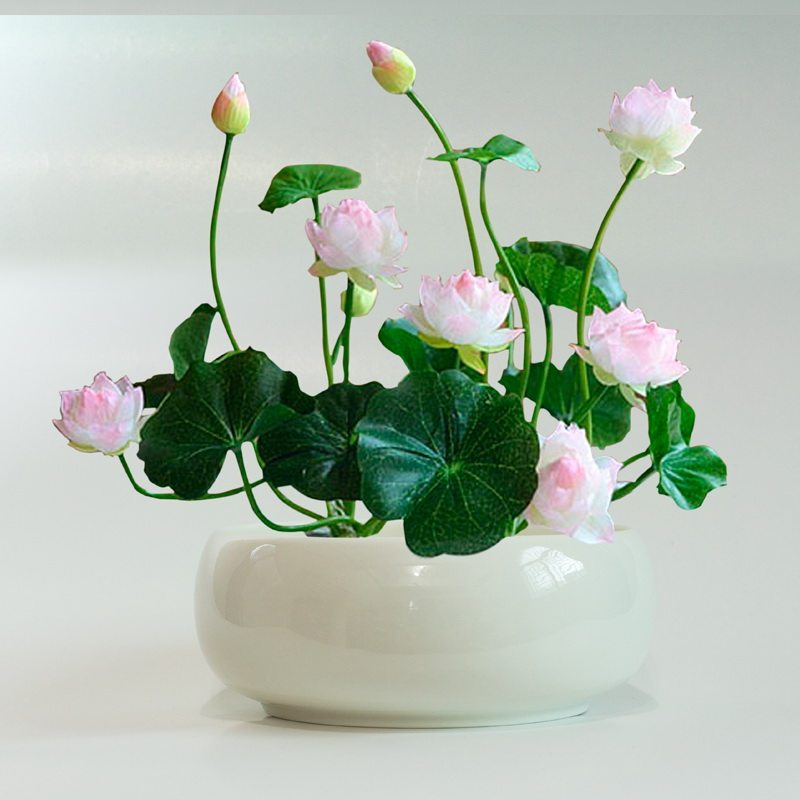 景德镇纯白色陶瓷特大花盆水仙花碗莲铜钱草睡莲水培无孔笔洗茶洗