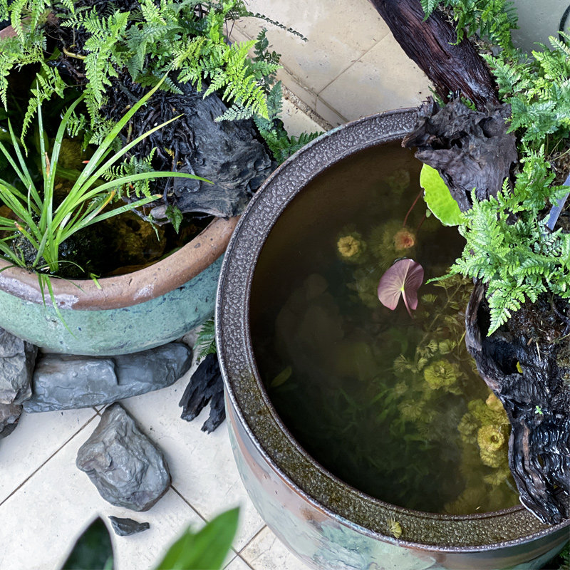 古法养鱼大型阳台庭院日式侘寂风生态鱼缸循环水睡莲荷花陶瓷缸,宠物/宠物食品及用品,底柜/落地缸,淘宝优惠券,粉丝福利购,淘宝优惠卷