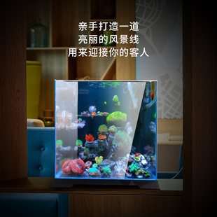鱼缸客厅小型背滤海水鱼缸玻璃迷你生态水草缸水族箱办公室金鱼缸