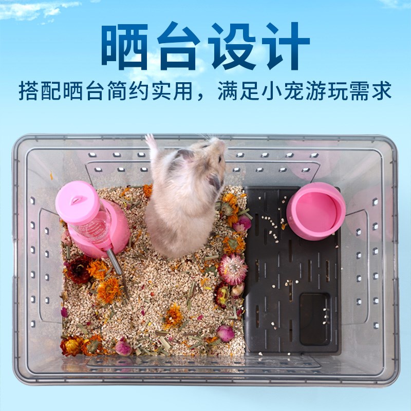 仓鼠笼子透明饲养盒金丝熊小窝用品花枝鼠养殖箱防越狱睡鼠外带笼