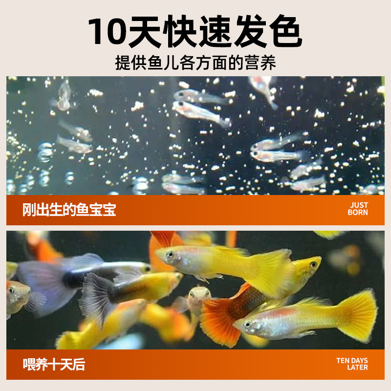 丰年虾卵脱壳免孵化鱼宝宝开口鱼食小颗粒孔雀鱼斗鱼热带小鱼饲料,宠物/宠物食品及用品,观赏鱼饲料,淘宝优惠券,粉丝福利购,淘宝优惠卷