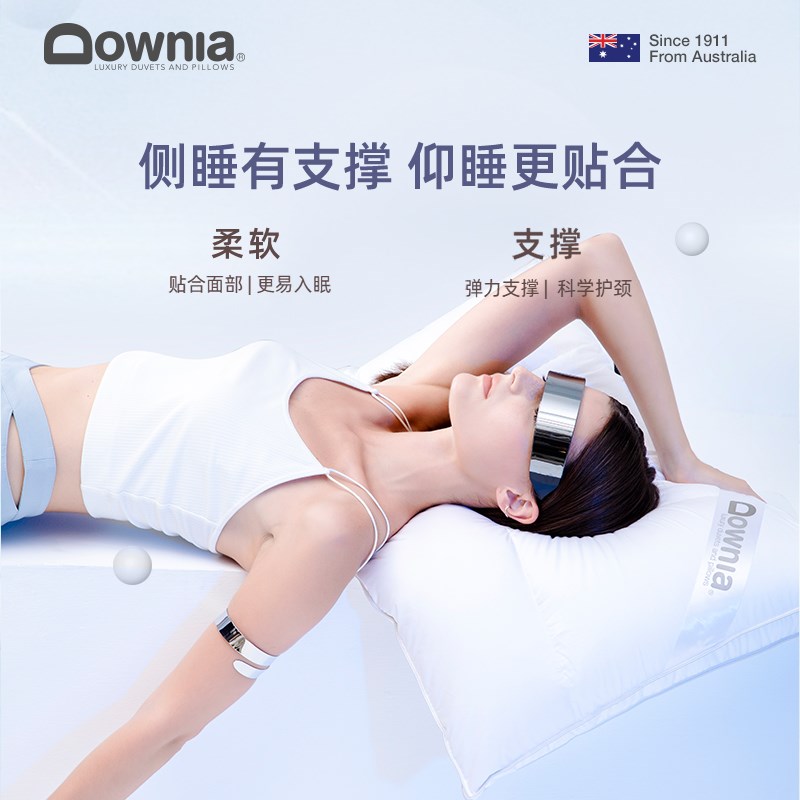 DOWNIA羽绒枕95白鹅绒枕头 立体3D分区回弹护颈枕