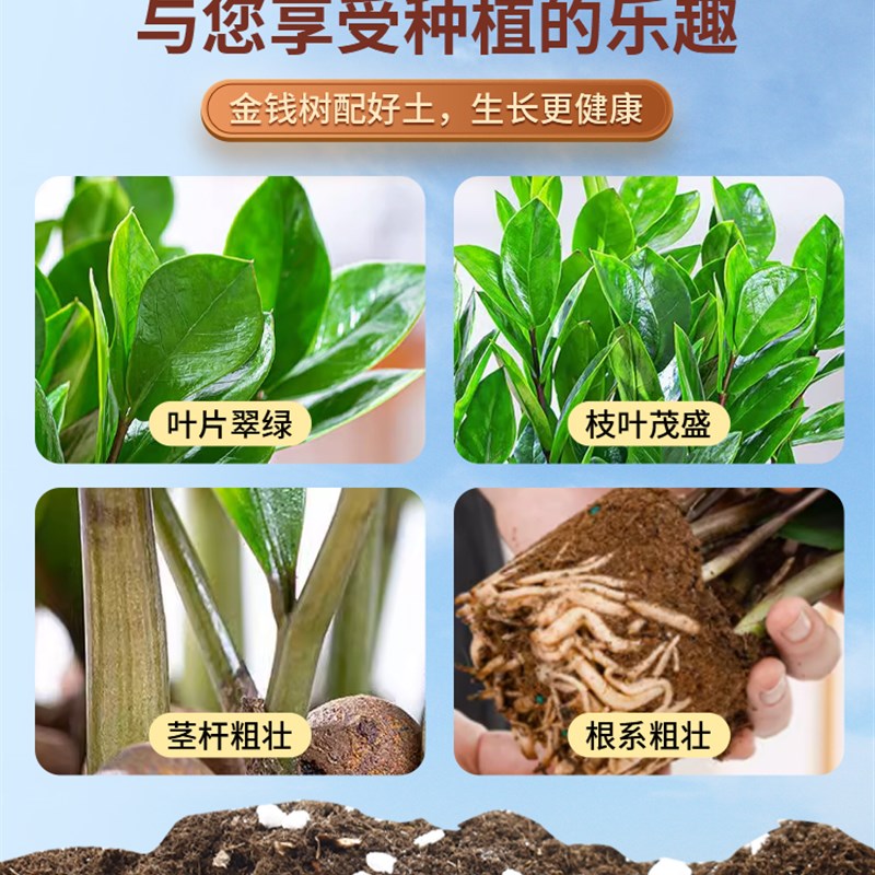 金钱树专用营养土专用肥料金钱树幸福树通用盆栽有机种植土壤花土