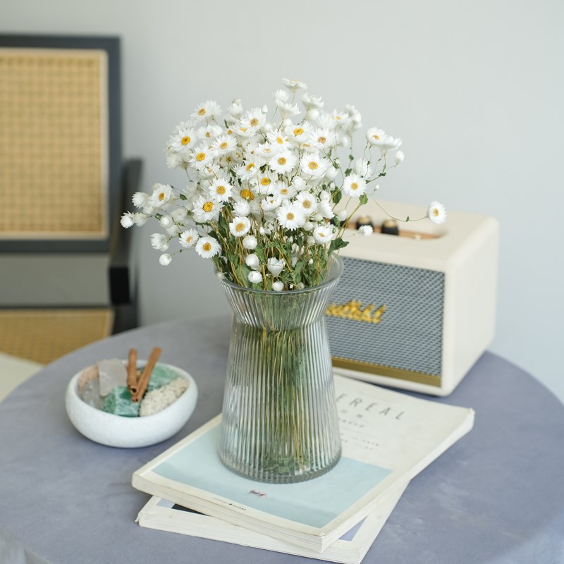 天然罗丹斯小雏菊干花鲁丹鸟风干真花插花小清新拍摄道具摆件