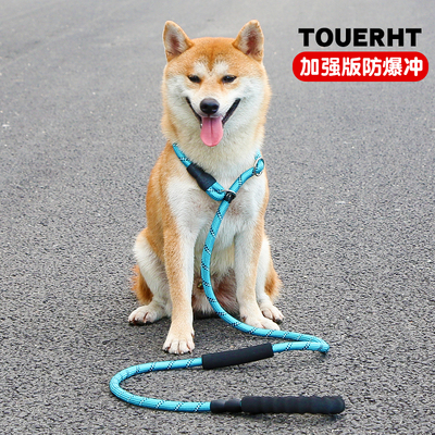 防爆冲训犬p链p绳大狗遛狗绳子金毛拉布拉多大型犬加粗加长牵引绳