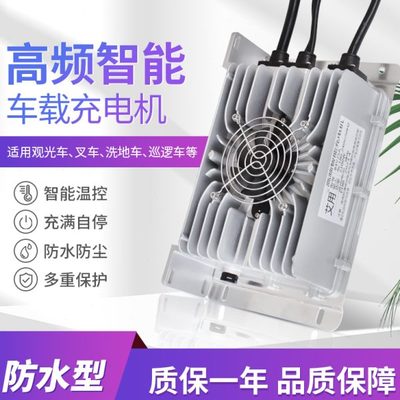 适用鸿日金彭雷丁御捷道爵比德文大阳丽驰电动四轮汽车智能充电器