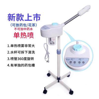 热喷仪美容院专用蒸热脸器薰眼鼻机热双喷雾仪中冷管草药Todom包