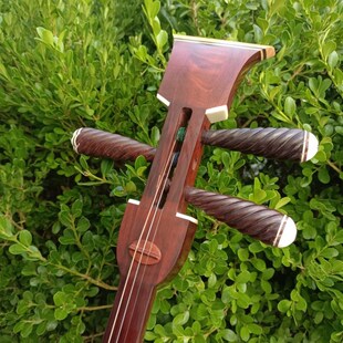 紫檀曲艺大三弦蟒皮三弦