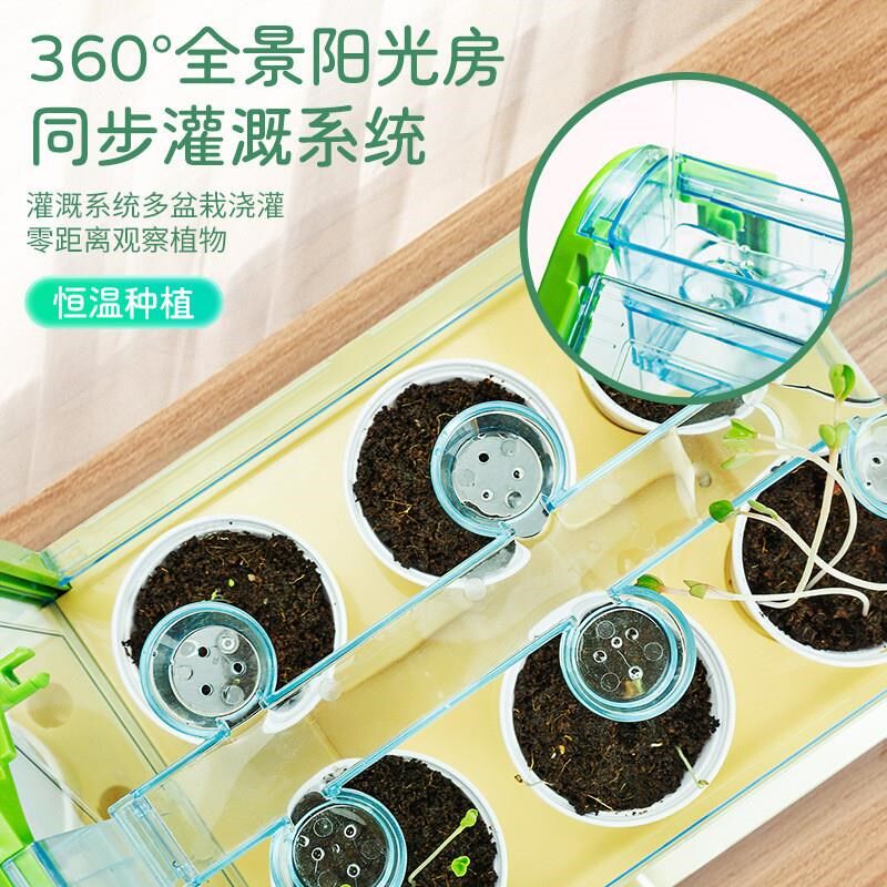 学优马种植种菜种观察科学小实验装幼儿园种菜盆岁