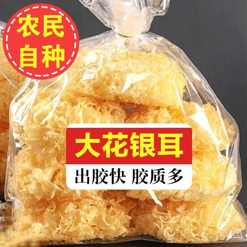 无硫新货雪白大朵肉厚银耳易出胶