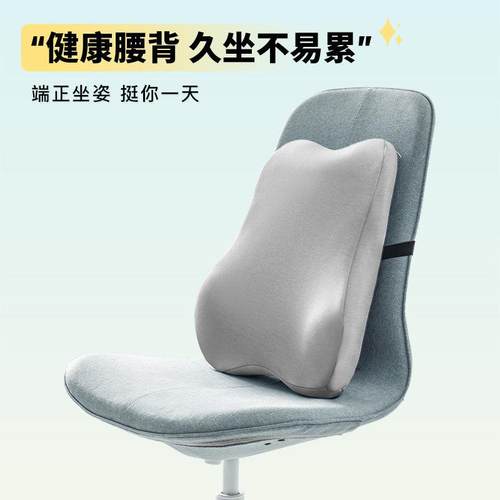 枕靠垫办公室腰靠垫泰国靠天然乳胶dsj-100久护腰腰腰垫座椅坐枕