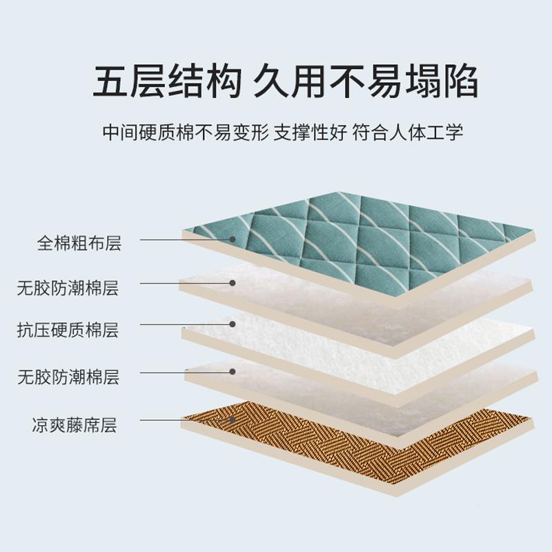 学生凉席床垫软垫子夏冬夏两90x9单人宿舍专0用双面wz-0609用垫被