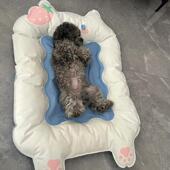 狗可爱降通宠物冰垫猫用狗狗卡垫子猫咪QVB凉席防撕咬耐咬夏天温