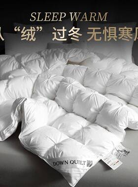 匈牙利CS202E-进口10厚0%羽绒被9子5鹅绒冬被白五星级酒店加保暖