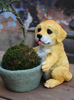 意铜钱草创水培砂植物花盆石浆可爱的饰小狗装饰品庭院茶几装KDH