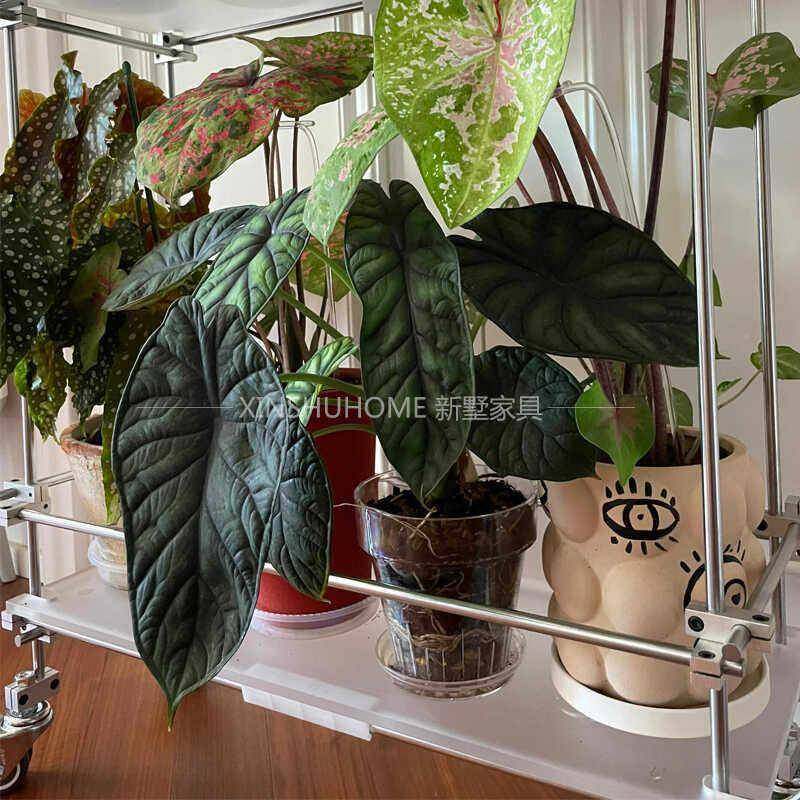 光轴台花架阳盆栽架241004压克架力客厅可移动落地零食收层小推车