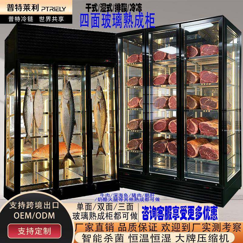 四面玻璃熟成牛肉深海鱼柜干式湿式两用排酸柜牛排羊排冷冻展示柜