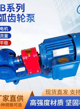 厂家供应圆弧齿轮泵植物油食用油用泵YCB系列润滑油齿轮泵