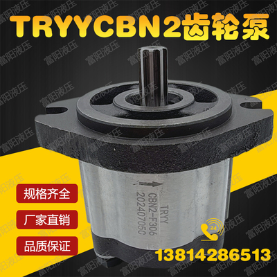 TRYY液压齿轮泵CBN2-F304 F306 F310 F314 F316 F320 F325齿轮泵