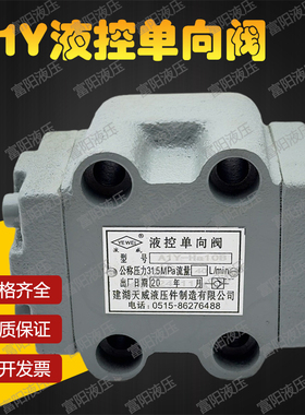 建湖天威液压液控单向阀A1Y-Ha10B A1Y-Hb10B A1Y-Ha20BA1Y-Hb20B