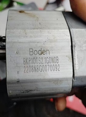 Boden齿轮泵液压油泵BKP1Q0S2. 1/3.2/4. 2/4. 8G0N0B微型齿轮泵