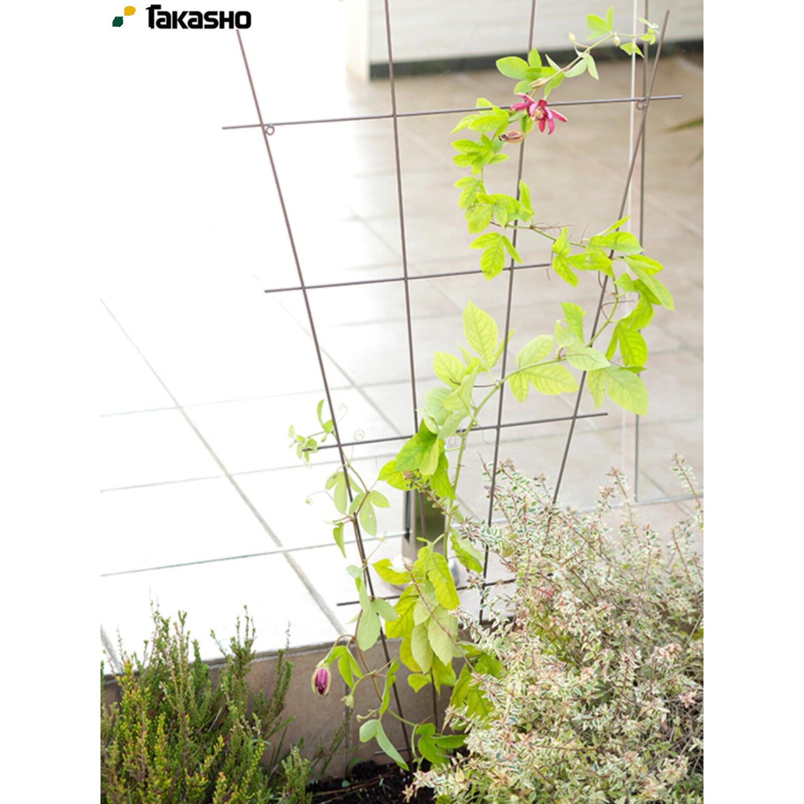 aRasho铁艺棕网格爬藤架铁栅栏植物k攀爬架蔬菜支架花T架牵引架色
