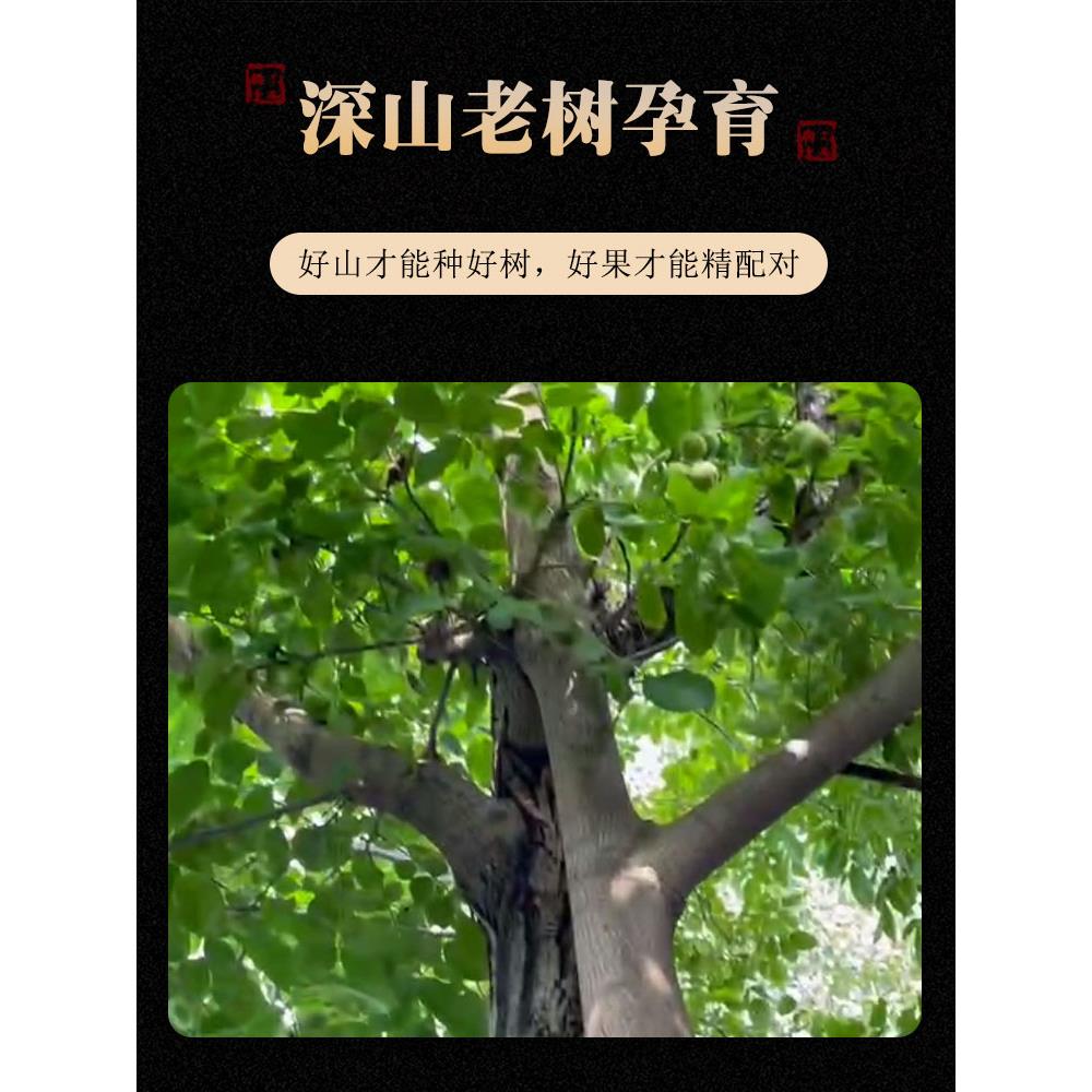 玩文蛤蟆头桃延庆盘玩精品把玩手把核件LXB怀柔野生古玩送老人练