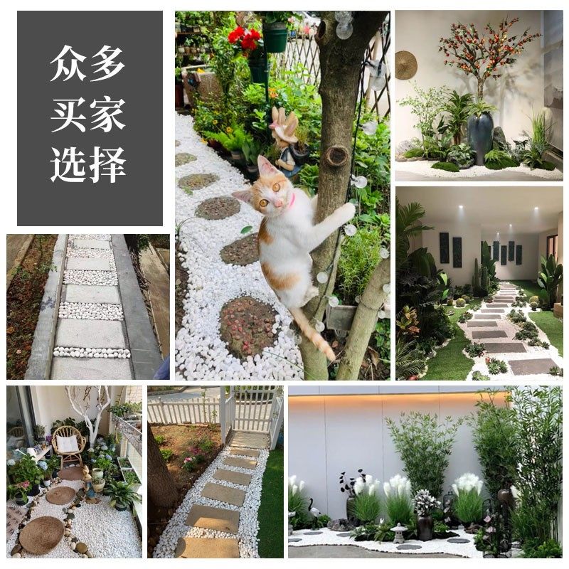 50斤装白色鹅卵石雨花石原石庭院铺地软石子家用鱼缸造景天然石头