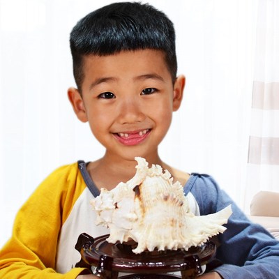 天然大号海螺千手刺骨螺壳家居工艺品鱼缸装饰礼品带木质摆件底座