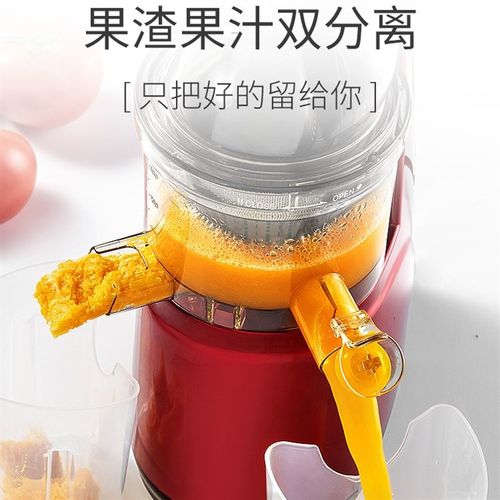 琳琳壹播专属榨汁机渣汁分离家用商用多功能榨果汁机