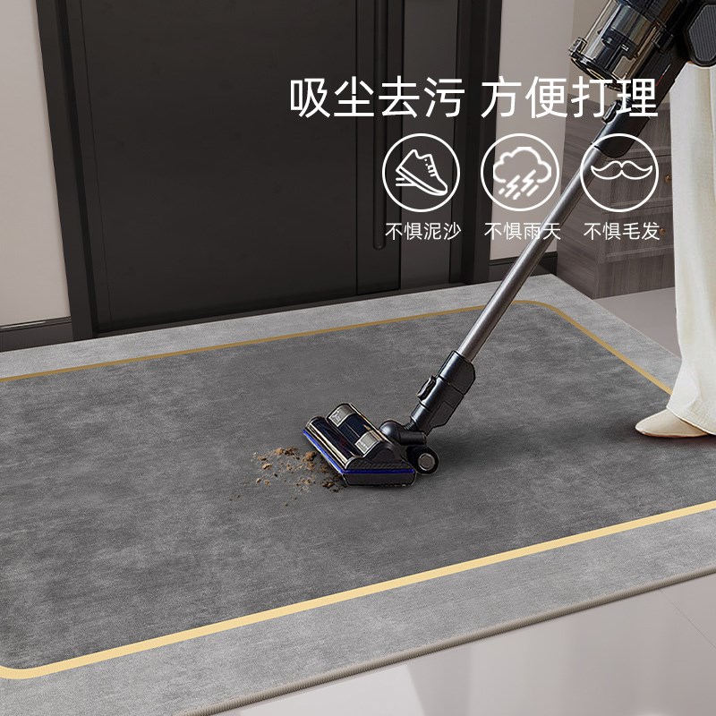 入户门地垫2024新款现代简约风进门门口防滑可擦免洗耐脏加厚地毯
