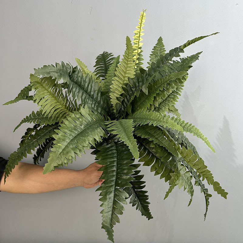 尖尾36叶波斯草装饰仿真绿植盆栽蕨类橱窗装饰造景仿真植物假绿植