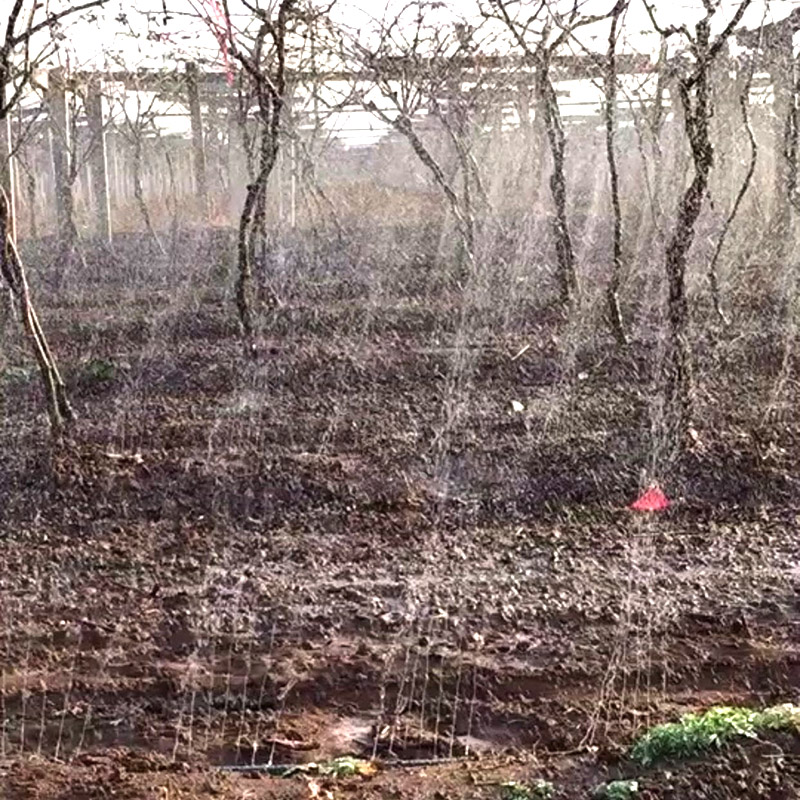 农用微喷带滴灌带喷水软管喷雾雾化水管1寸寸2寸水带灌溉管