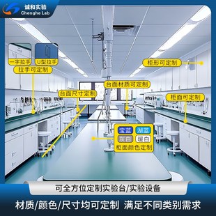 钢木实验台工作台全钢实验室边台通风柜中央台厂家化验操作台