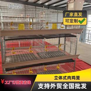摆放多组规格 肉鸡笼立体层叠式 生产厂家热镀锌自动化养殖设备