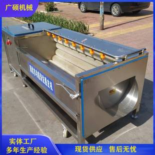 自动洗药材机器葛根半夏丹参毛辊清洗机中药材毛辊洗参机