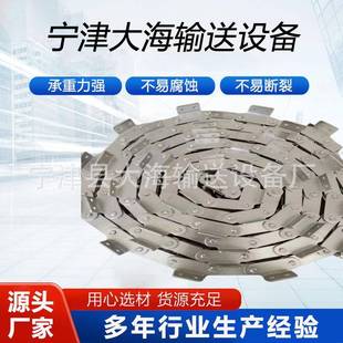 供应多种型号不锈钢工业输送链条异型非标大滚珠链条价格低