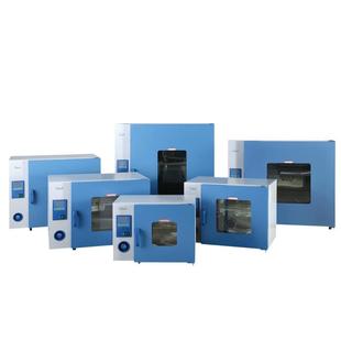 上海实验室工业烤箱恒温烤箱DHG 9123A工业电热鼓风烤箱