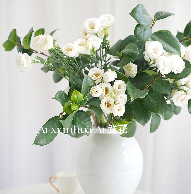 清新一夏白绿色系组合花束插花白色洋桔梗鲜花山茶叶花期长