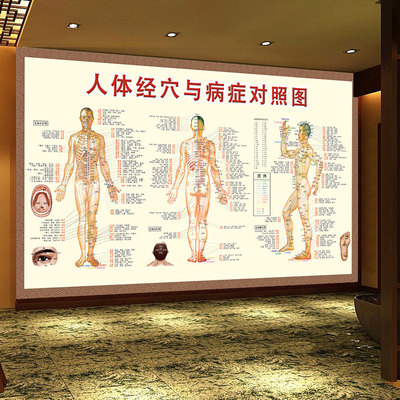 体经穴与病症对照图墙中医诊所养生馆背景饰画经络穴位壁